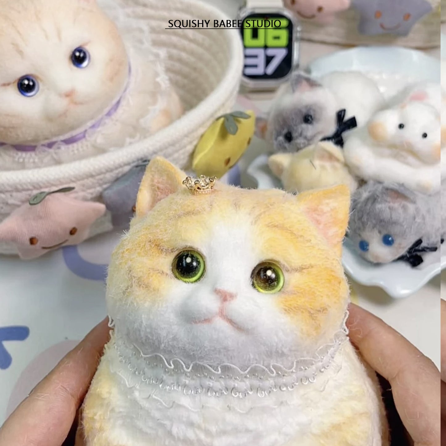 A003: Customized cute kitten