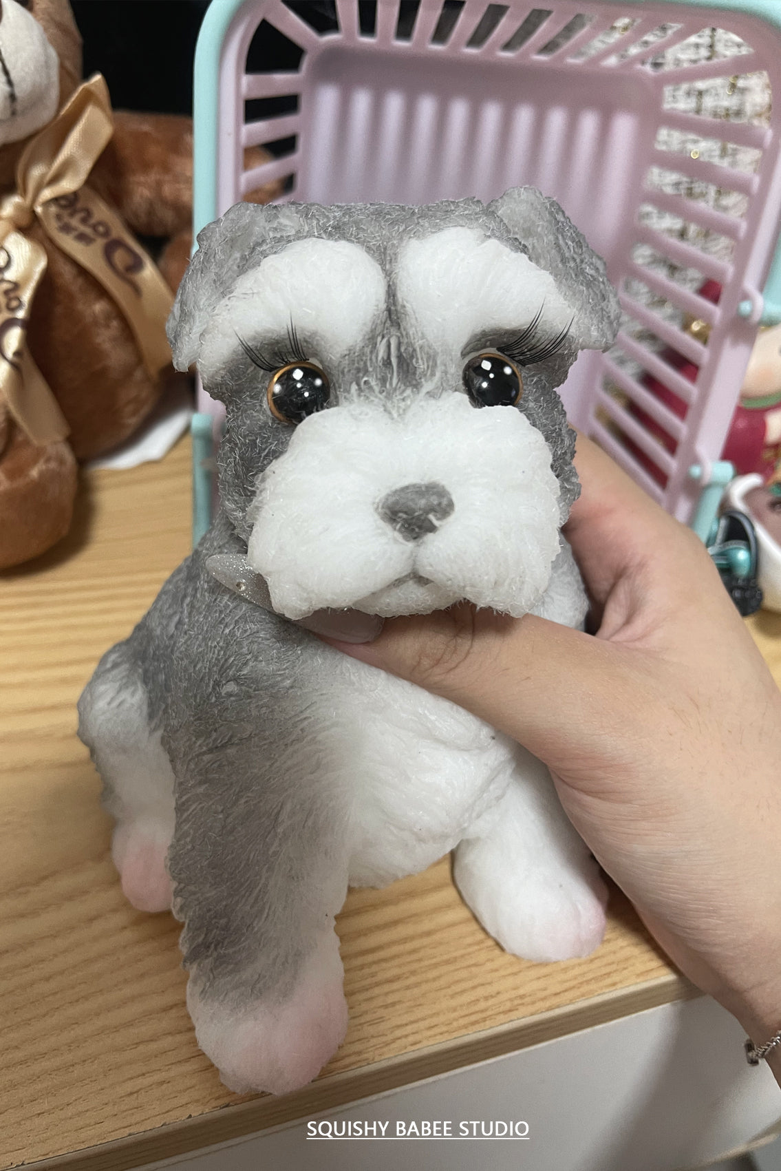 A0001:Super cute Schnauzer with long eyelashes