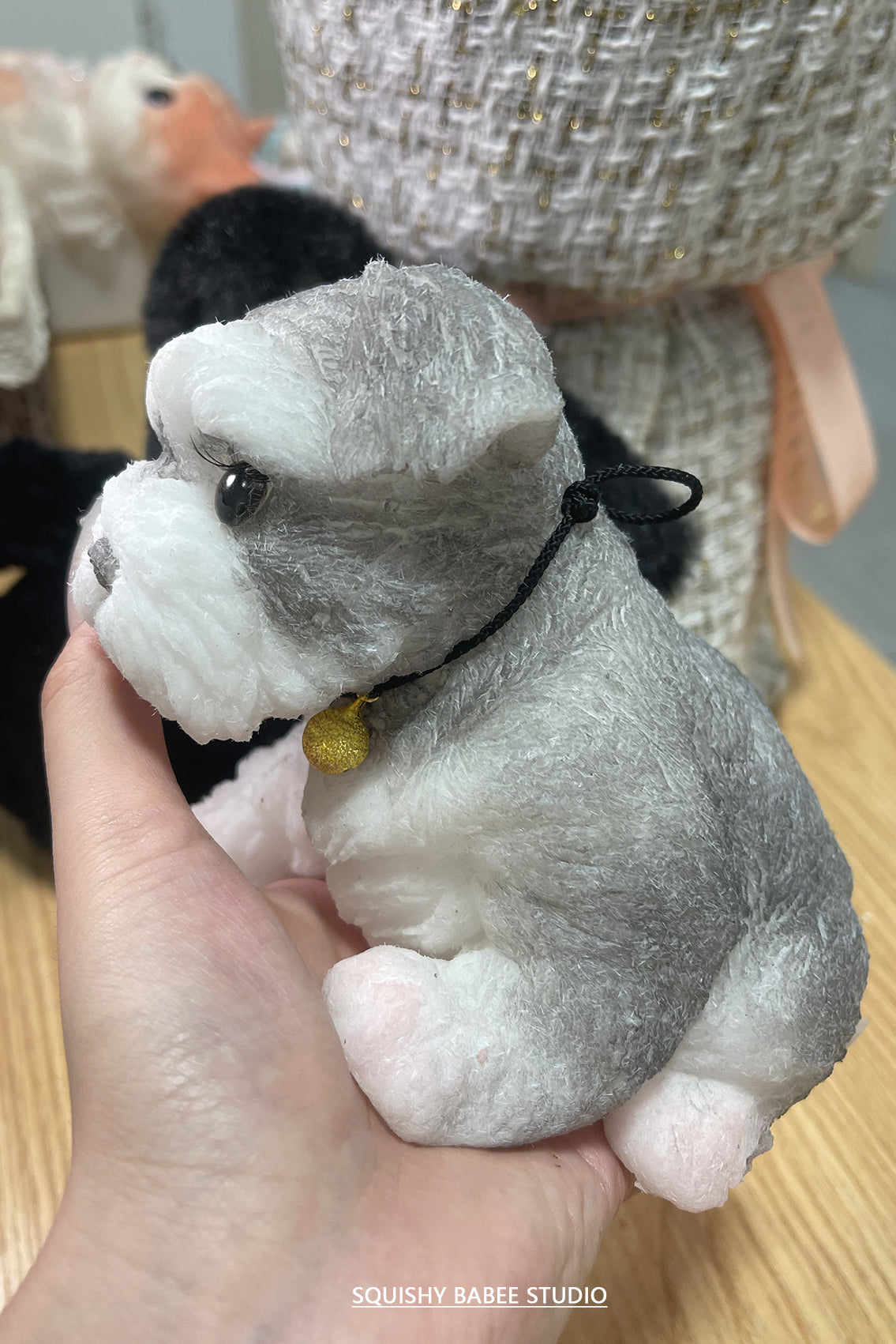 A0001:Super cute Schnauzer with long eyelashes