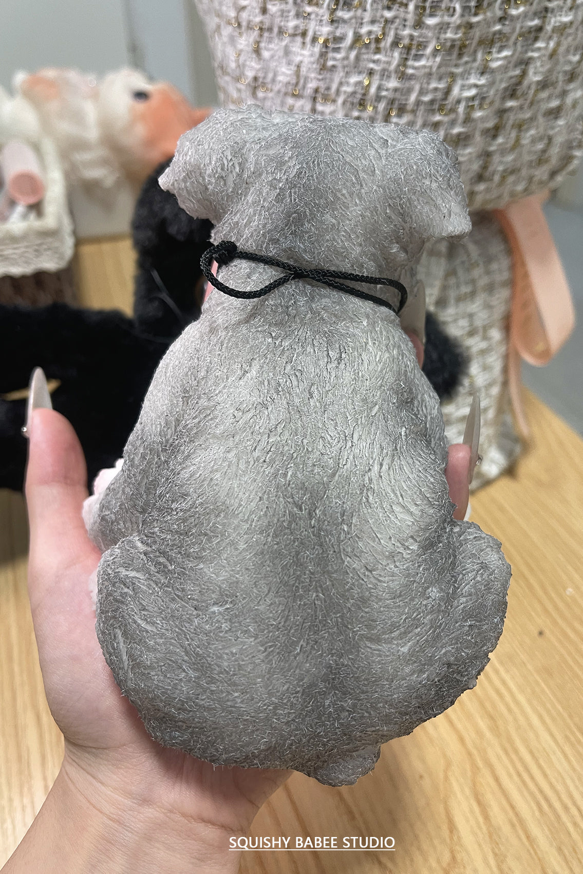 A0001:Super cute Schnauzer with long eyelashes